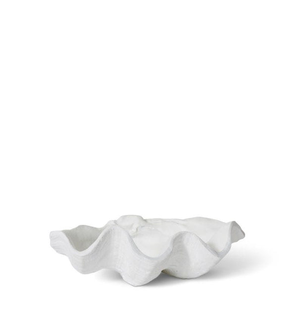 CLAM SHELL SCULPTURE | SMALL