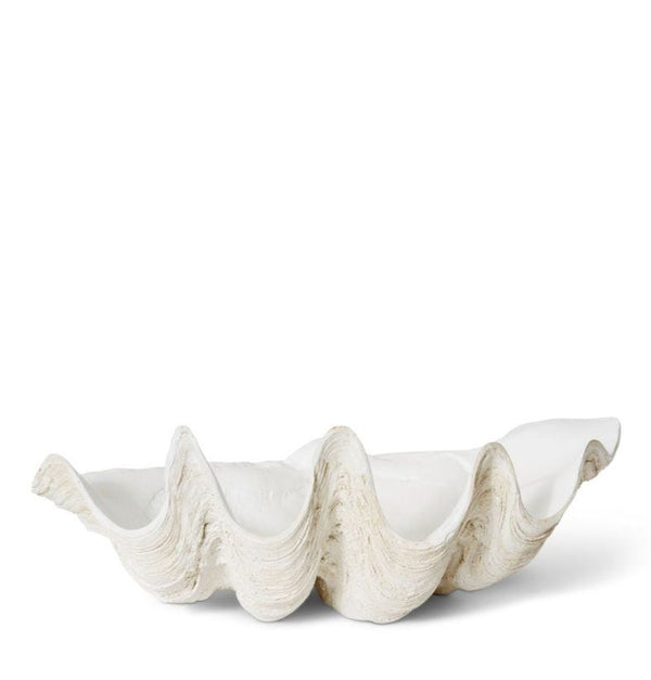 CLAM SHELL SCULPTURE | LARGE