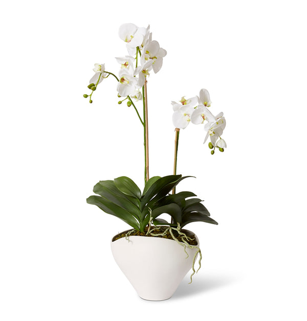 LUXE PHALAENOPSIS-ZELMA VASE