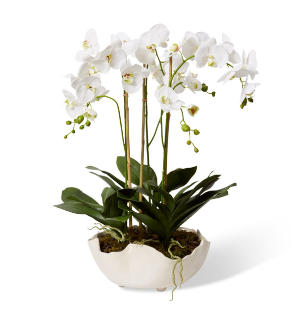 PHALAENOPSIS-EMALINE BOWL