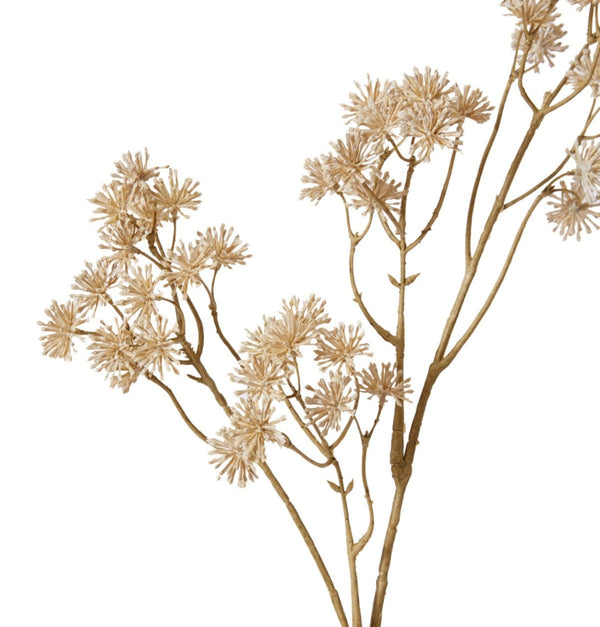 ARALIA SPRAY