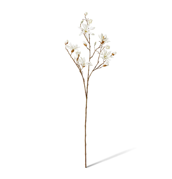 MAGNOLIA JAPANESE SPRAY