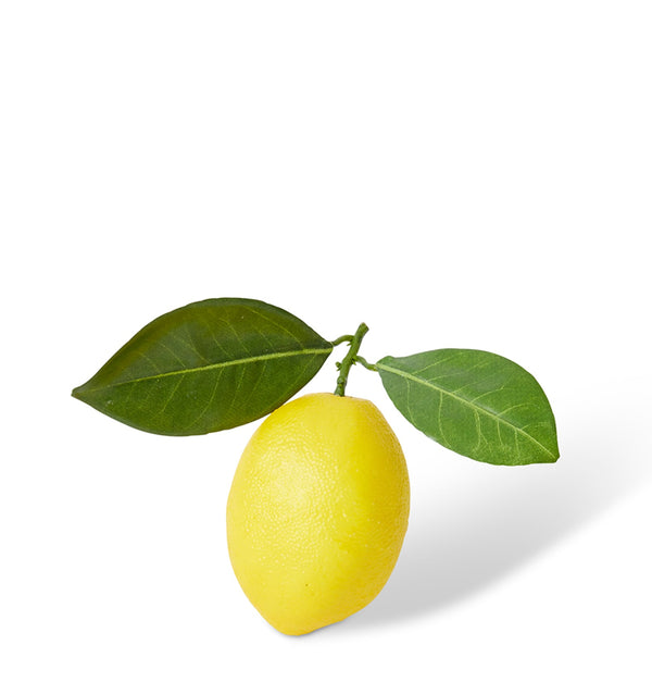 LEMON TWIG