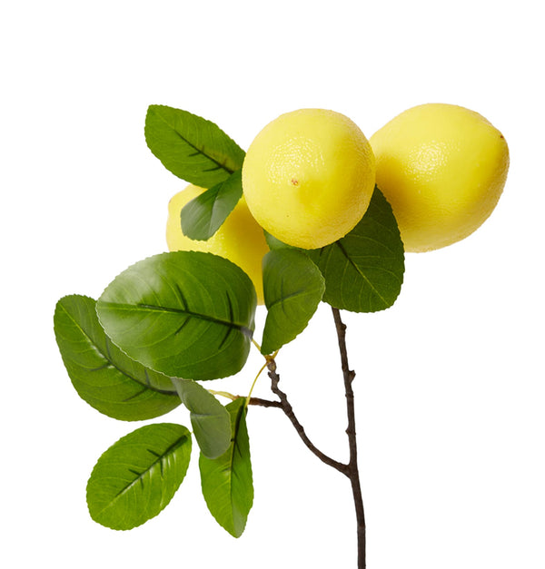 LEMON BRANCH SPRAY