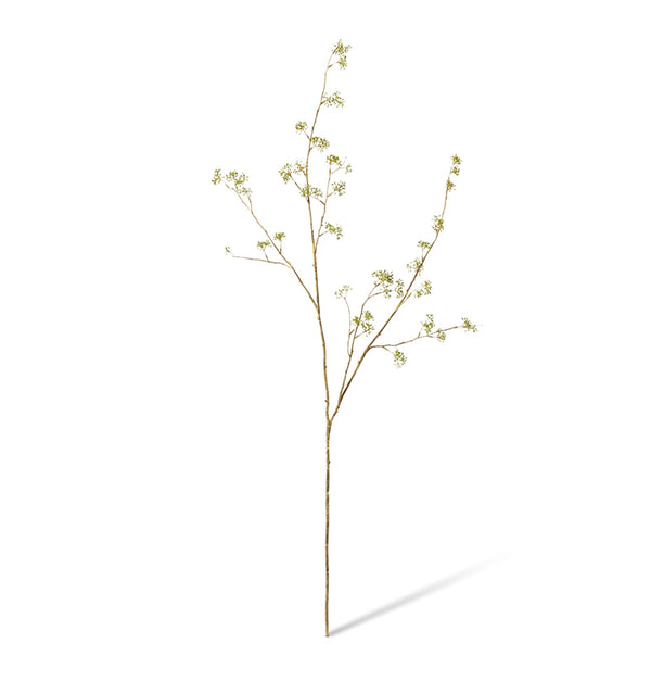 SEEDLING EUCALYPTUS BRANCH | GREEN BROWN